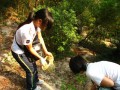 大家动手，美化环境 (10)
