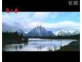 新疆西尔丹公司的企业宣传片 (1192播放)