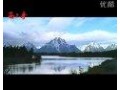 新疆西尔丹公司的企业宣传片 (1269播放)