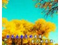新疆原创歌曲《金秋》 (1352播放)