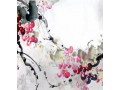一笔葡萄画家杨俊峰走进新大科技园 (6539播放)
