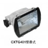 CXTG401 GXTG401一体化投光灯，三防投光灯