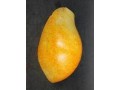 和田玉佛籽料把件 (3501播放)
