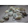 新疆海螺贝壳风铃、家居装饰工艺品