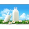 萨荷伊尔商贸有限公司特供优质纯鲜牛奶“八小时鲜醇奶”