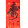 梁金先老师新年佳作（一）